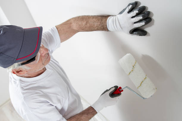 Best Mold Remediation for Vacation Homes  in USA